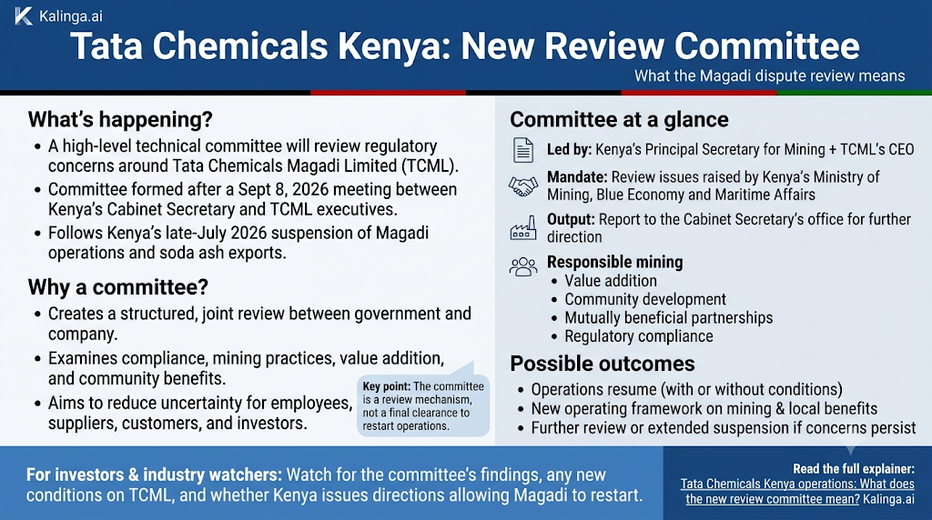 Tata Chemicals Kenya operations at Magadi soda ash facility amid regulatory review
